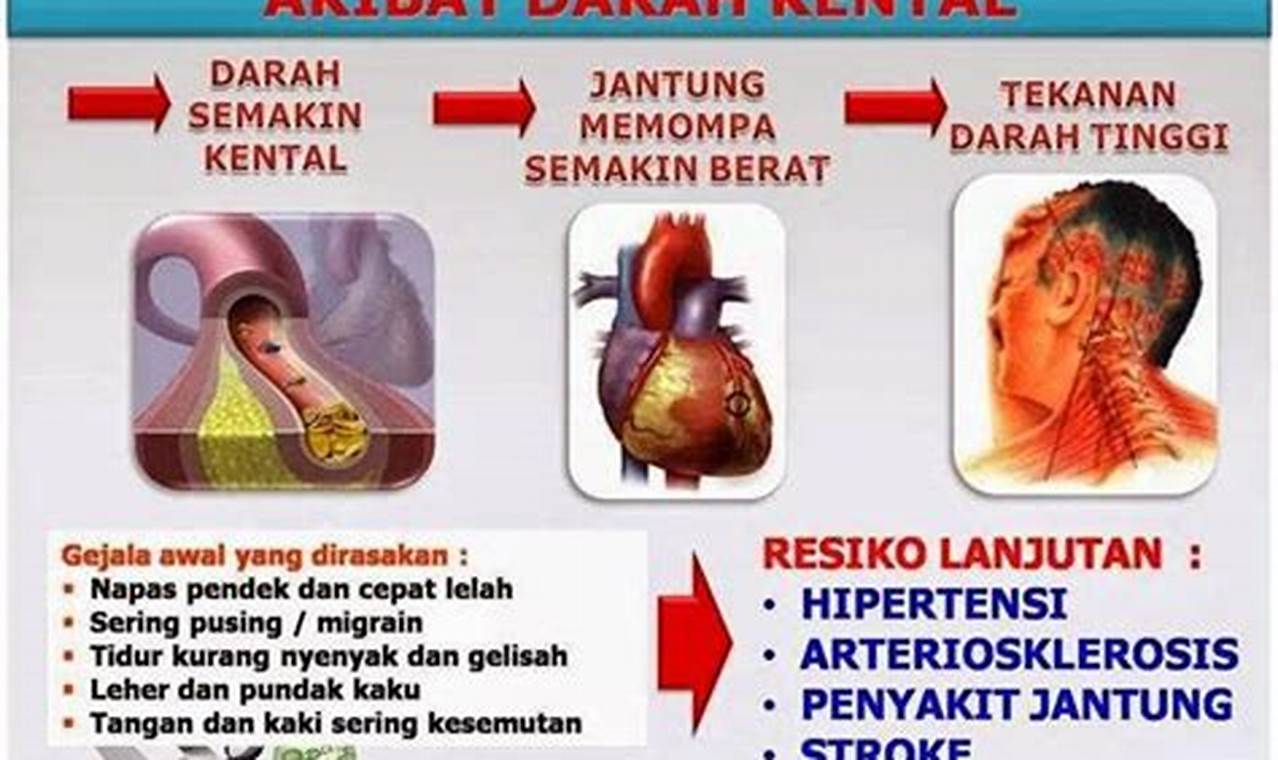 Cara Mengatasi Kurang Darah Dengan Mudah Dan Efektif Cara Mengatasi Kurang Darah Dengan Mudah Dan Efektif